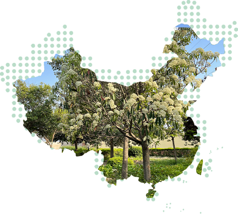 养老院历史悠久，环境优美